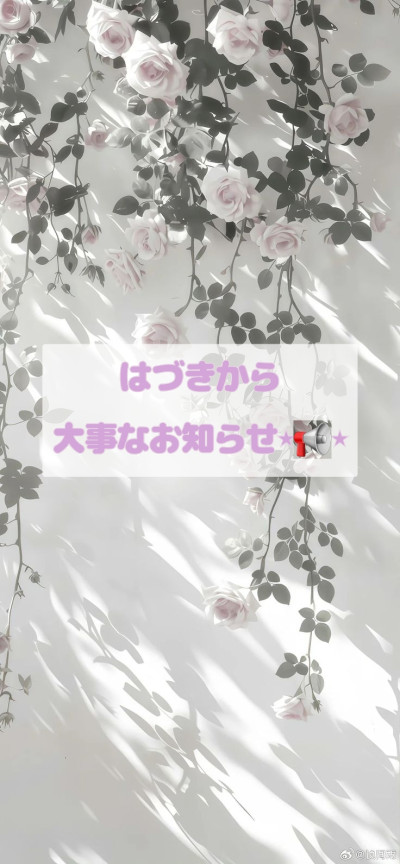 はづき	の写メ